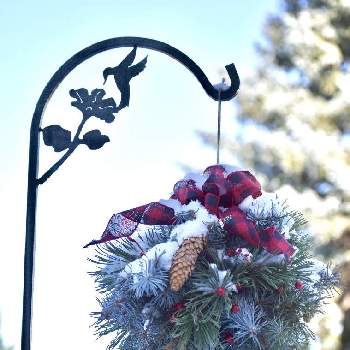 クリスマスデコレーションの画像 by noripさん | 玄関とクリスマスデコレーションとキッシングボールと雪が降った朝にとコニファーのクリスマスデコレーションとアメリカ コロラド