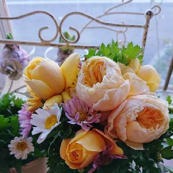 今日の花束の画像 by ＹＵＭＩＫＯさん | 窓辺と私の癒し♡と薔薇愛同盟と花が好き❤とおうち園芸とお花に癒されてと植中毒と小菊♡と薔薇が好き❤と今日の花束とクリサンセマム   ノースポールとサハラ98と花のある暮らしとかわいいな♡とジャンヌダルク  バラ