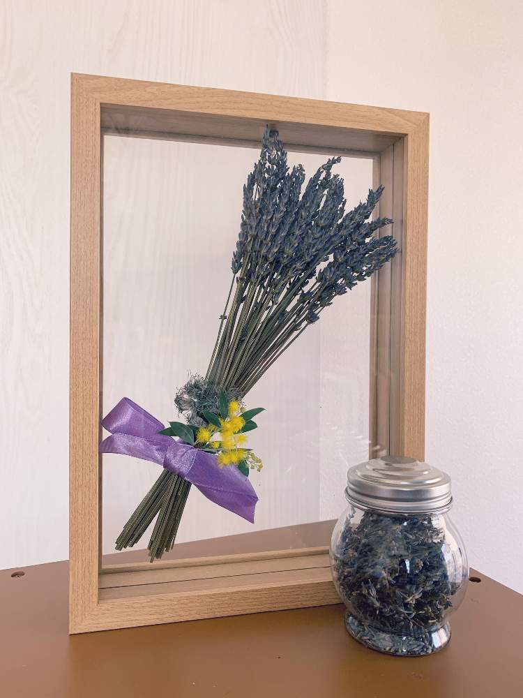 クレマチスの投稿画像 By Ner0l1さん ラベンダーとミモザとハーブとドライフラワーとポプリと標本フレームとインテリアとふるさと納税とハーブと ドライフラワーとポプリと標本フレームとふるさと納税 月12月17日 Greensnap グリーンスナップ Greensnap