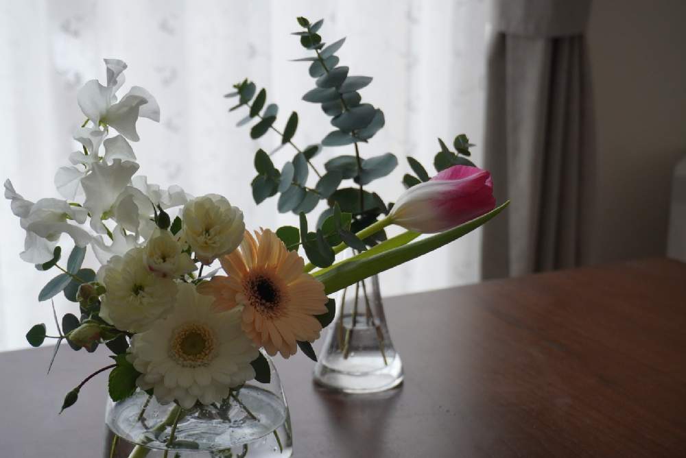 ガーベラの投稿画像 By Mami さん スイートピーとチューリップとバラと花瓶とおばちゃんの花記録と花のある暮らしと北海道とうちの花と切り花と切り花アレンジと花を飾る 月12月18日 Greensnap グリーンスナップ