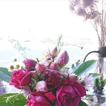 今日の花束の画像 by ＹＵＭＩＫＯさん | 窓辺と私の癒し♡と薔薇愛同盟と花が好き❤とおうち園芸とお花に癒されてと植中毒と薔薇が好き❤と今日の花束と花のある暮らし
