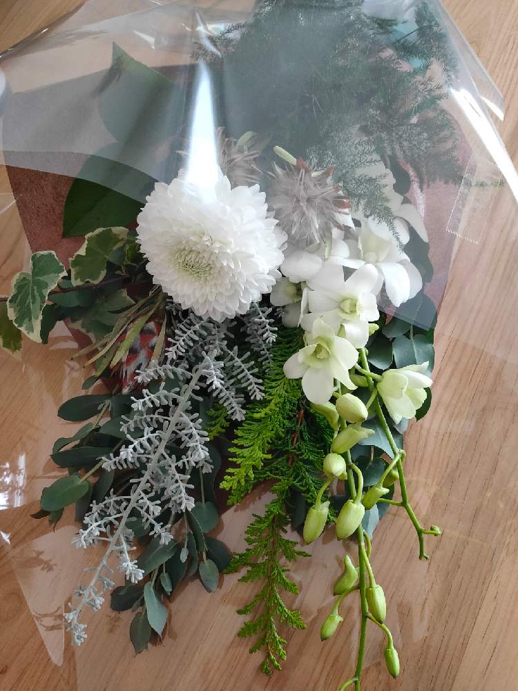 インテリアの投稿画像 By あやたんさん 切り花を楽しむとハナカジとメルシーフラワーと花のある暮らしと切り花とstay Homeと切り花 を楽しむとハナカジとメルシーフラワーと花のある暮らしと切り花とstay Home 月12月19日 Greensnap グリーンスナップ