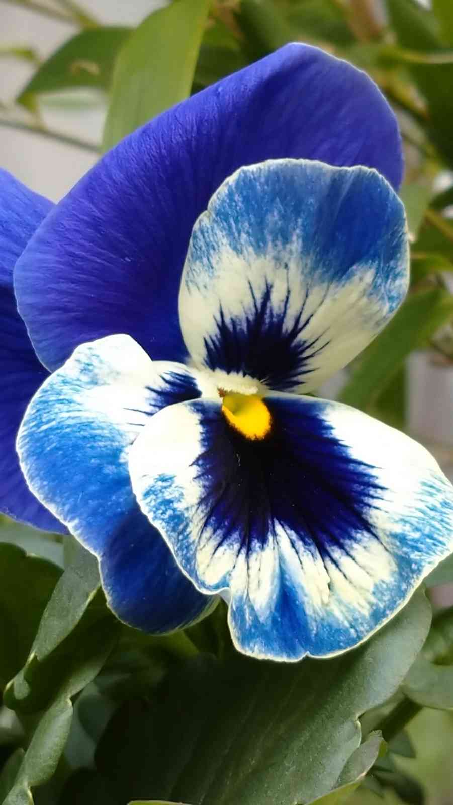 Sunae Qeiv5aim Sunae Qeiv5aim