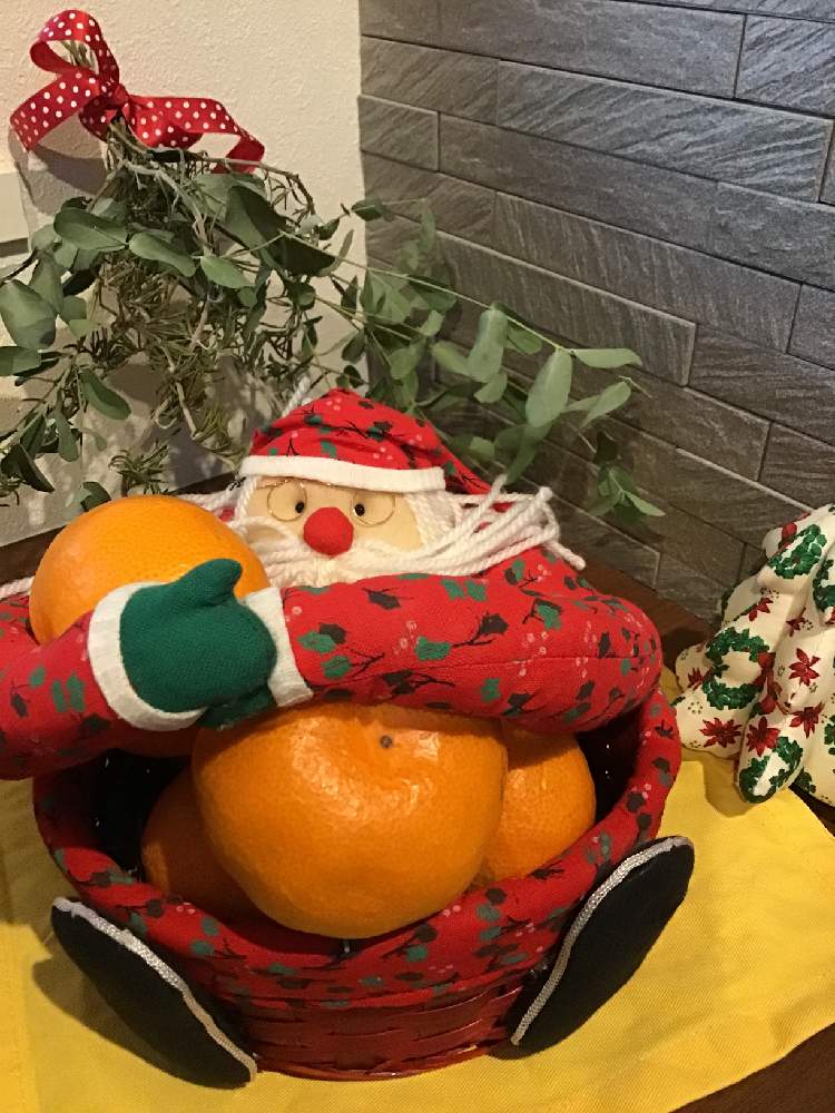 ローズマリー の投稿画像 By Hi さん 温州みかん早生とクリスマスディスプレイとサンタクロースとユーカリドライ 月12月日 Greensnap グリーンスナップ