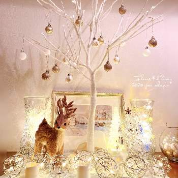 クリスマス,DIY,イルミネーション,パーゴラDIY,土管にドッカンの画像