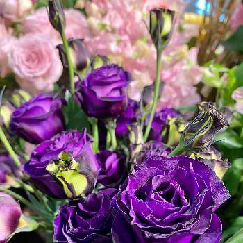池袋駅構内にある花屋さんの画像 by さいたまさん | お出かけ先とトルコキキョウとリシアンサス  マンハッタンと花びらの魅力✨と池袋駅構内にある花屋さんとpurple purple purple