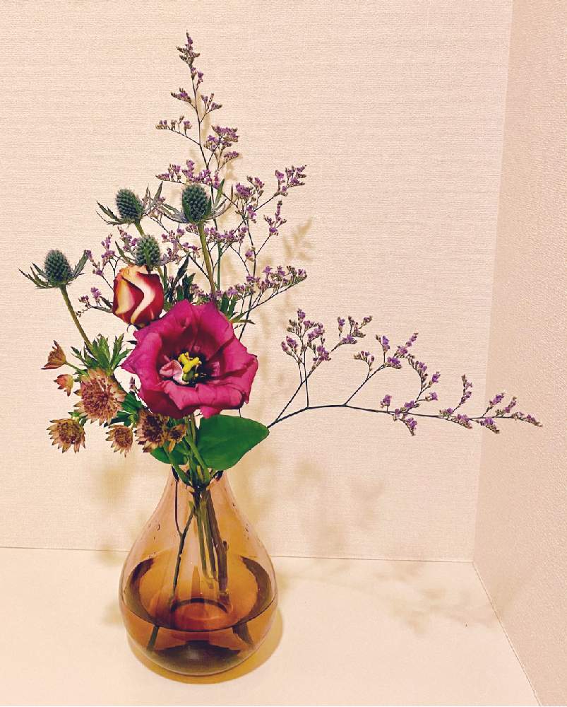 スターチスの投稿画像 By Mkさん トルコキキョウとエリンジウムとアストランチアと切り花と花のある暮らしと花瓶投げ入れ 月12月23日 Greensnap グリーンスナップ