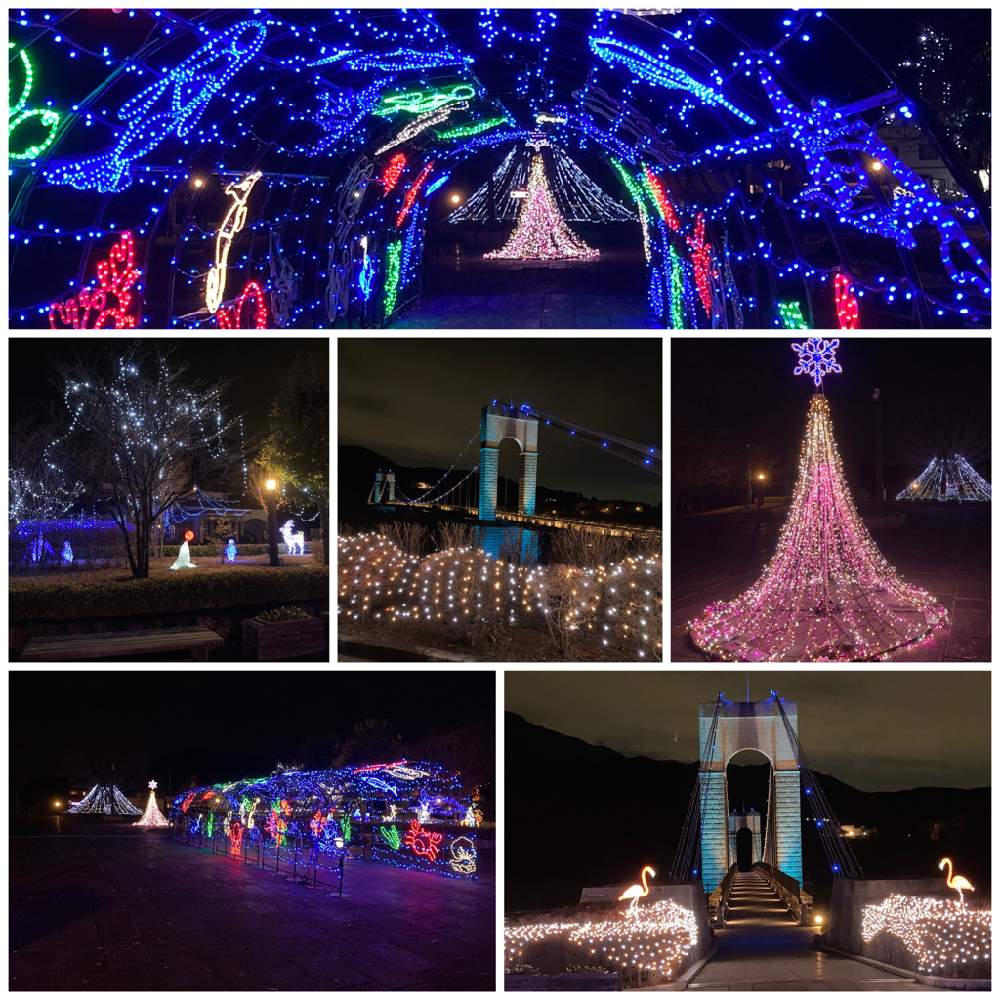 イルミネーションの投稿画像 By たえポンさん いやし と県立秦野戸川公園と花のある暮らしと綺麗 月12月24日 Greensnap グリーンスナップ