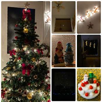 クリスマスツリー の投稿画像一覧 Greensnap グリーンスナップ