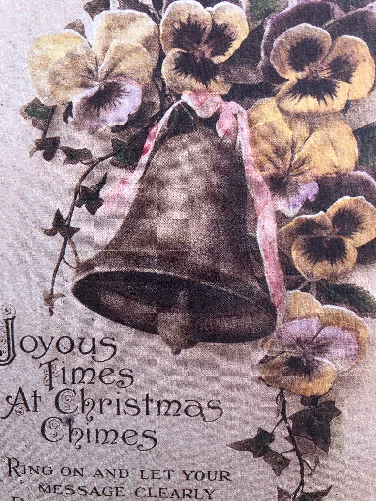 ハナハナさんの投稿画像 月12月25日 Greensnap グリーンスナップ