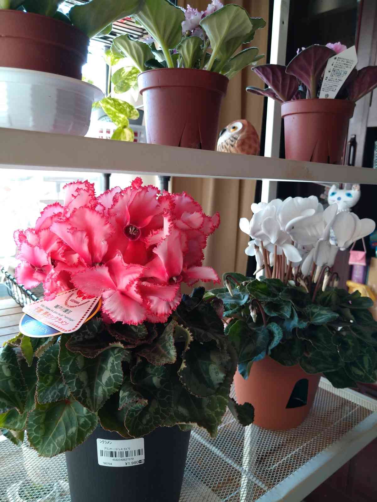 1608961213557_94536_20201226_1