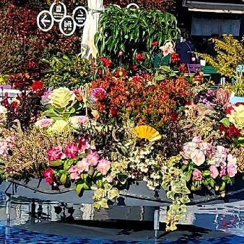 正月飾り花の画像 by やまちゃん～旅～さん | お出かけ先と寄せ植えと西武池袋の空中庭園と正月飾り花