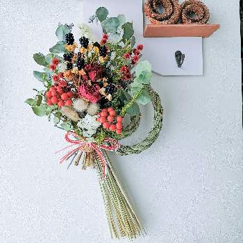 芍薬ドライフラワーの投稿画像一覧 Greensnap グリーンスナップ