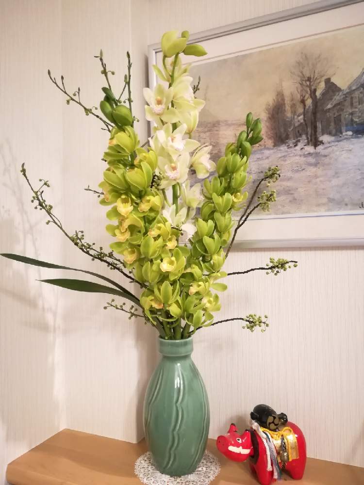 シンビジウムの投稿画像 By アネモネさん アオモジと花を飾るとお部屋に花をとお正月と生花といけばなと部屋を飾ると花のある暮らしと切り花 と生け花とおもてなしの花 月12月27日 Greensnap グリーンスナップ