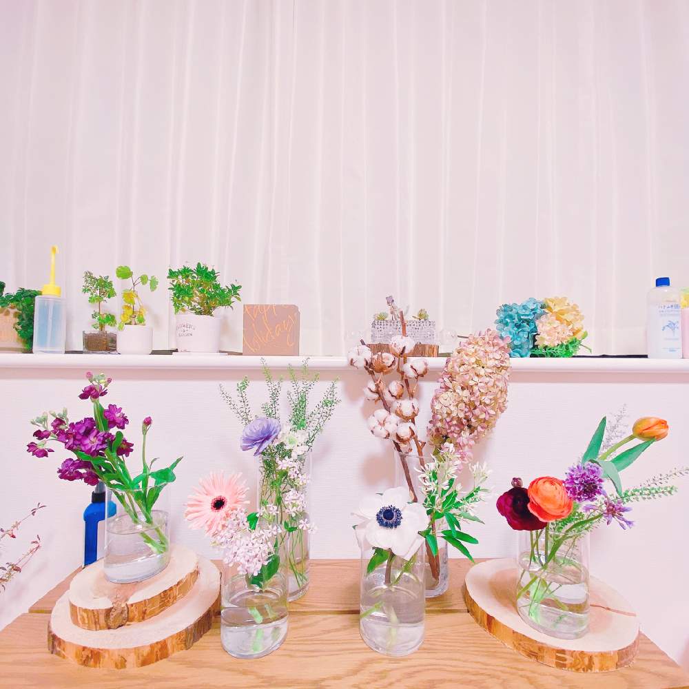 枝ものの投稿画像 By Niki 可愛いお花屋さんが好きさん ガラスの花瓶とお花のある生活と花は癒やし と切り花 と枝ものとガラスの花瓶とお花のある生活と花は癒やし と切り花 月12月 27日 Greensnap グリーンスナップ Greensnap グリーンスナップ