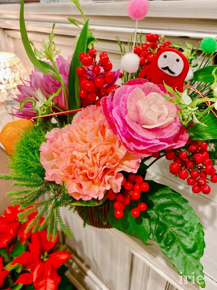 ダルマの投稿画像 By アィリィさん 年末年始と 葉牡丹と生花と南天の実と可愛いとお花 月12月29日 Greensnap グリーンスナップ