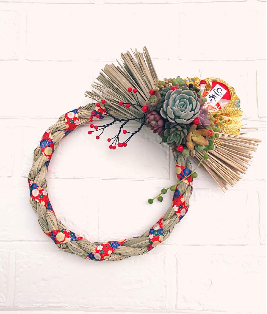 多肉植物の投稿画像 By Kikoriさん しめ縄リースと手作りガーデンピックと多肉女子 おばさん と普及種バンザイと多肉リース寄せ と多肉女子と多肉しめ縄と多肉寄せ植えと100均とセリア雑貨 月12月31日 Greensnap グリーンスナップ