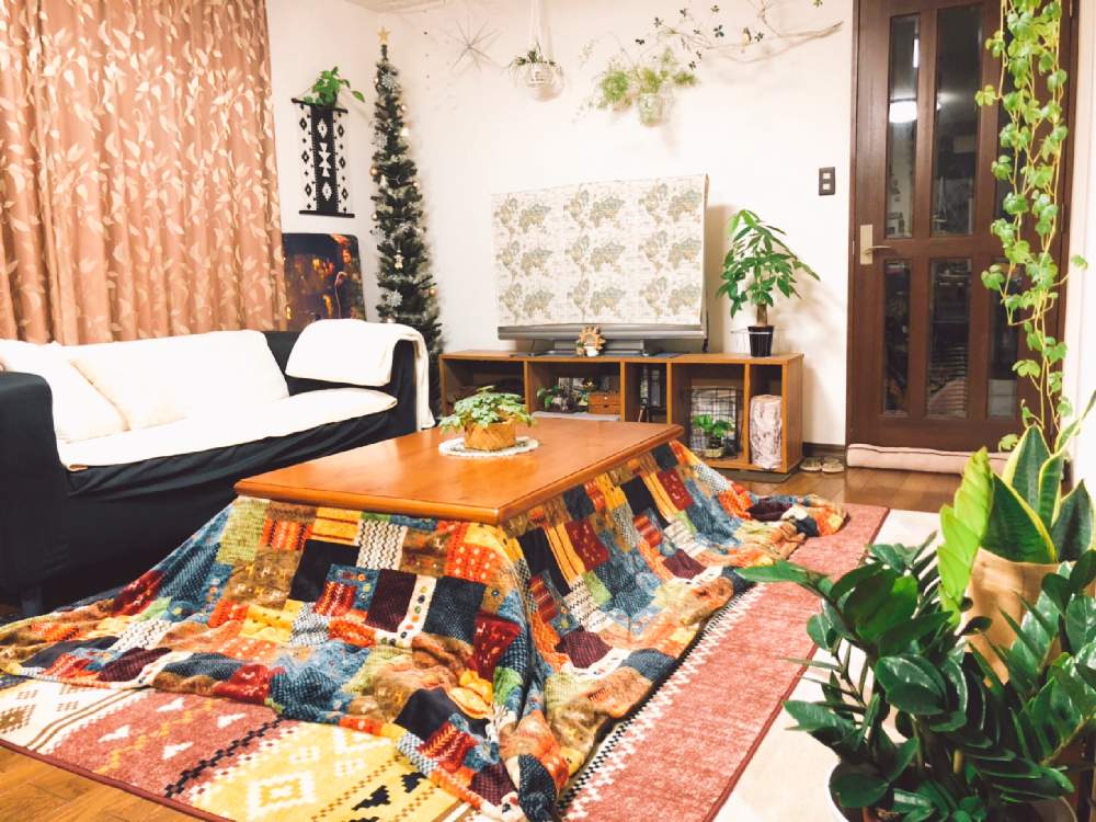 パキラの投稿画像 By 森cafe さん ポトスとリプサリスとザミオクルカスとサンセベリアとシュガーパインとアスパラガス 観賞用 とグリーンのある暮らしとボタニカルカフェと植物に囲まれ隊とカフェ風 インテリアとおうちカフェと都会より自然とstay Home With Plantsと