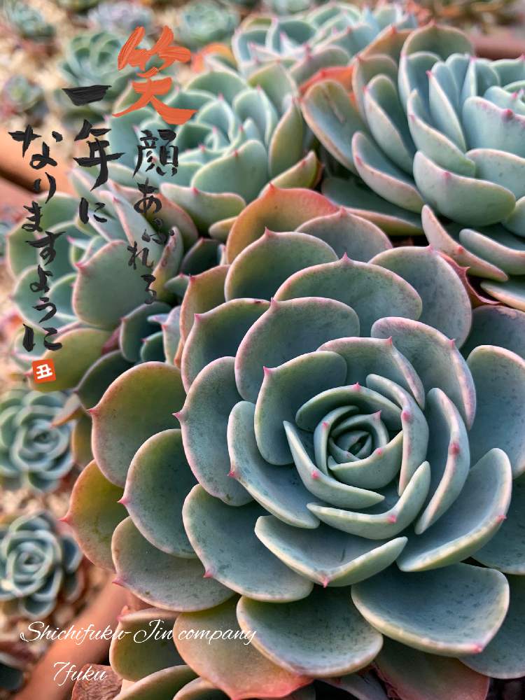 Dadfpmh61h9tr Cloudfront Net 21 01 01