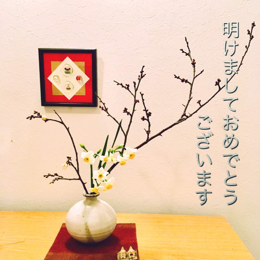 ウメの投稿画像 By ツバキさん 水仙と新年のご挨拶とお正月フォトコン21年 21月1月1日 Greensnap グリーンスナップ ウメの投稿画像 By ツバキさん 水仙と新年のご挨拶とお正月フォトコン21年 21月1月1日 Greensnap グリーンスナップ