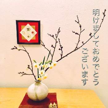 新年のご挨拶の投稿画像一覧 Greensnap グリーンスナップ 新年のご挨拶の投稿画像一覧 Greensnap グリーンスナップ
