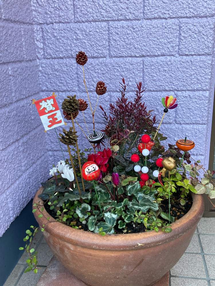 ありがとう の投稿画像 By ぶぶちゃんさん 寄せ植えと今年もよろしくお願いしますと季節の花と鉢植えとお世話になりますm Mと花のある暮らしと元気でね 21月1月1日 Greensnap グリーンスナップ