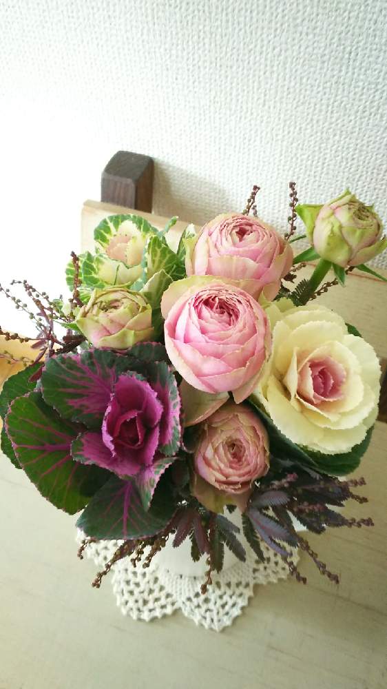 ミモザ の投稿画像 By Mokamoka01さん はぼたん とばら バラ 薔薇とお正月フォトコン21年とコロナに負けるな と今日の一枚と花のある暮らしと癒しの空間 とミニブーケ 21月1月1日 Greensnap グリーンスナップ ミモザ の投稿画像 By Mokamoka01さん はぼたん とばら バラ 薔薇とお正月フォトコン21年とコロナに負けるな と今日の一枚と花のある暮らしと癒しの空間 とミニブーケ 21月1月1日 Greensnap グリーンスナップ
