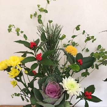 正月花の投稿画像一覧 Greensnap グリーンスナップ 正月花の投稿画像一覧 Greensnap グリーンスナップ