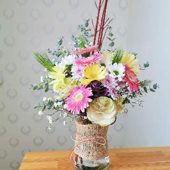 サンゴミズキの投稿画像一覧 Greensnap グリーンスナップ