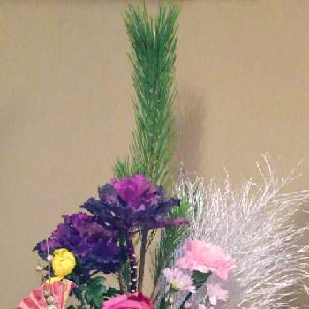 若松！の画像 by ほりくみさん | 玄関と若松と今日の一枚と花のある暮らしとお正月と若松！