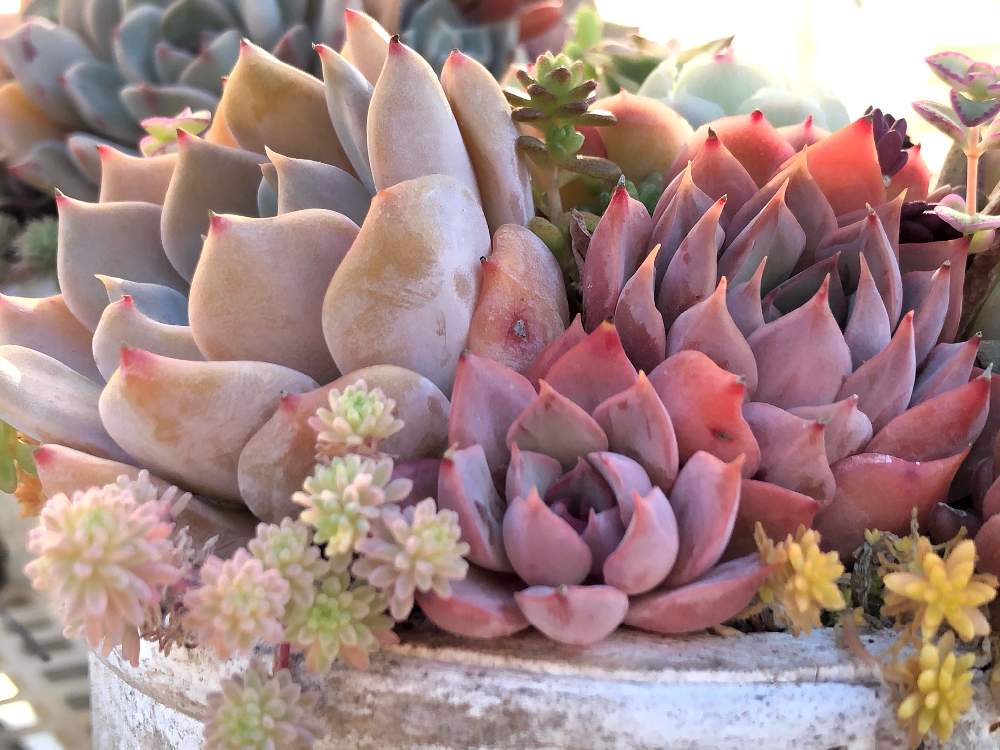 Dadfpmh61h9tr Cloudfront Net 21 01 02