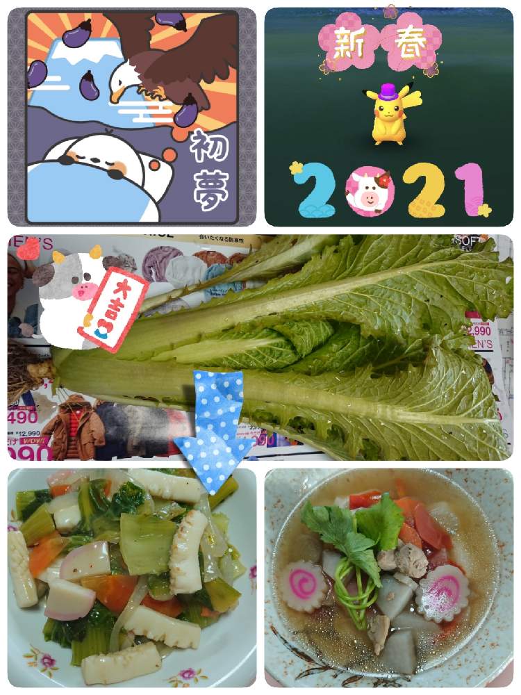 プランター菜園の投稿画像 By 苺さん プランター野菜とプランターと家庭菜園とおうちde菜園とおうち園芸と種蒔き栽培と三つ葉の栽培とタケノコ白菜の栽培と プランター植え 21月1月2日 Greensnap グリーンスナップ