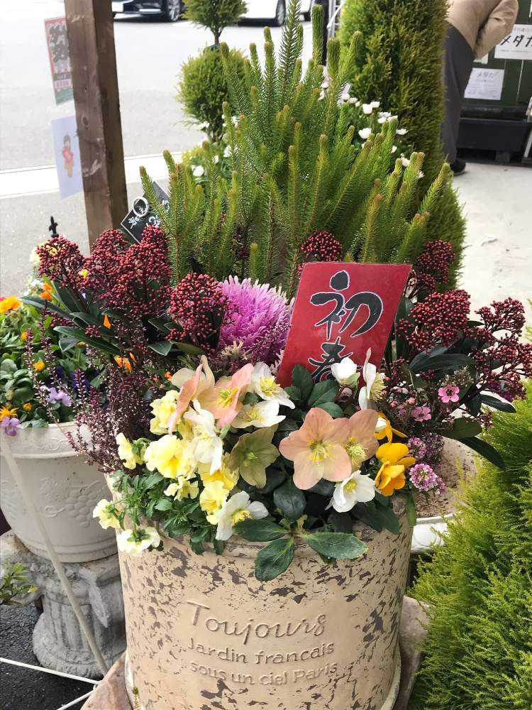 ガーデンマルシェ防府店新春すぺしゃる Greensnap グリーンスナップ