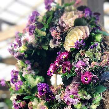正月飾り花の画像 by Madame  Dさん | お出かけ先と葉牡丹と♯葉牡丹とインテリア雑貨と正月飾り花