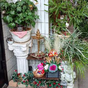 お正月フォトコン2021年の画像 by poohkawaさん | 小さな庭と花のある暮らしとおうち園芸とお正月フォトコン2021年