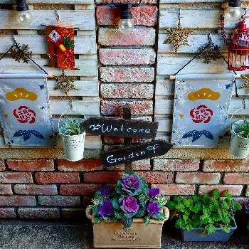 お正月フォトコン2021年の画像 by poohkawaさん | 小さな庭と花のある暮らしとおうち園芸とお正月フォトコン2021年