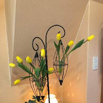 お正月フォトコン2021年の画像 by Kさん | 部屋とお正月フォトコン2021年と可愛い花とカラフルな花と黄色のお花と花瓶の花