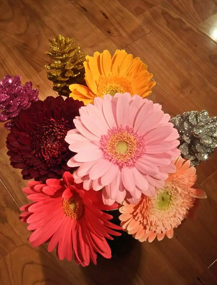 ガーベラの投稿画像 By シュシュさん お正月フォトコン21年 21月1月3日 Greensnap グリーンスナップ