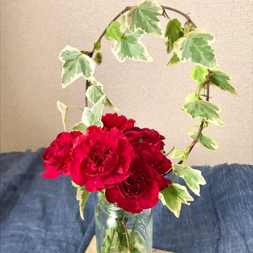 バラの投稿画像 By ひぃさん アイビーと花のある暮らし 21月1月4日 Greensnap グリーンスナップ