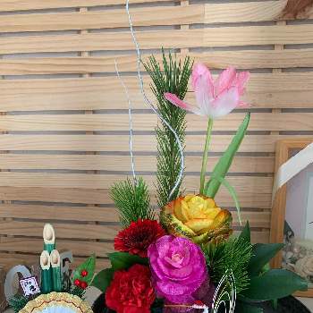 葉牡丹アレンジの投稿画像一覧 Greensnap グリーンスナップ