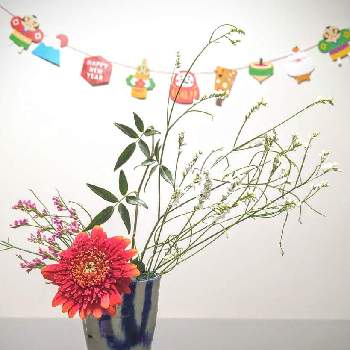 正月アレンジの画像 by •✴•❃　優雨　❃•✴•さん | 部屋と飾ってみたと正月アレンジと花のある暮らしと花瓶の花と ガーベラとスターチス♪