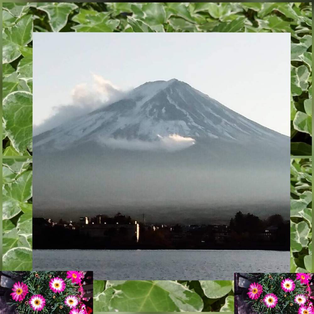 富士山の投稿画像 By ケロケロカエルさん 風景写真とお友達 21月1月7日 Greensnap グリーンスナップ