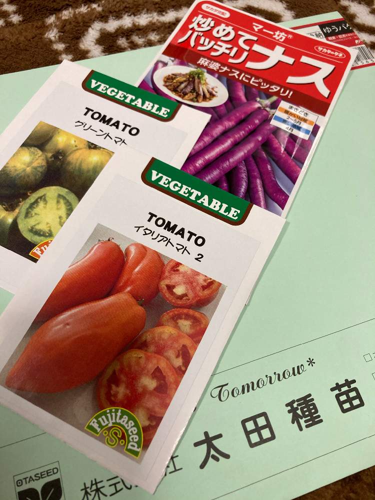 グリーントマトの投稿画像 By Dp106さん マー坊ナスとイタリアトマト2と家庭菜園とトマト栽培とおうち園芸とおうちde菜園 21月1月10日 Greensnap グリーンスナップ