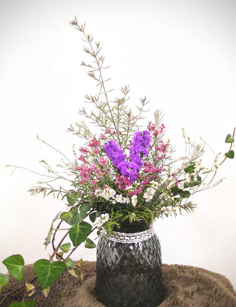 ウエストリンギア の投稿画像 By 優雨 さん ヘデラ とつる性植物とラベンダー と飾ってみたと花瓶の花と紫の花とスターチス 21月1月11日 Greensnap グリーンスナップ