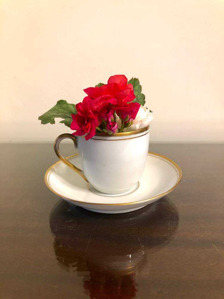 コーヒー、紅茶、それともお花？カップで楽しむお花たち集合