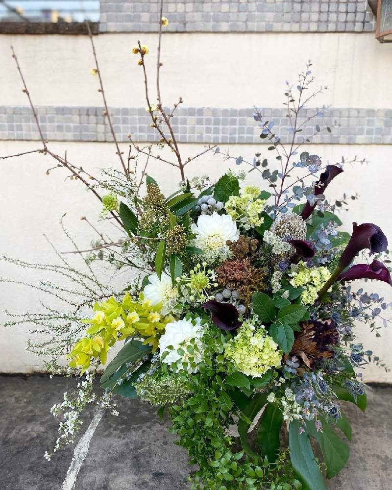 アジサイの投稿画像 By ウィズガーデンつくばさん カラーと紫陽花とユーカリと蝋梅と雪柳と春のお花とドライフラワーとアンティークカラーと開店祝いと フラワーアレンジメントと祝い花 21月1月15日 Greensnap グリーンスナップ