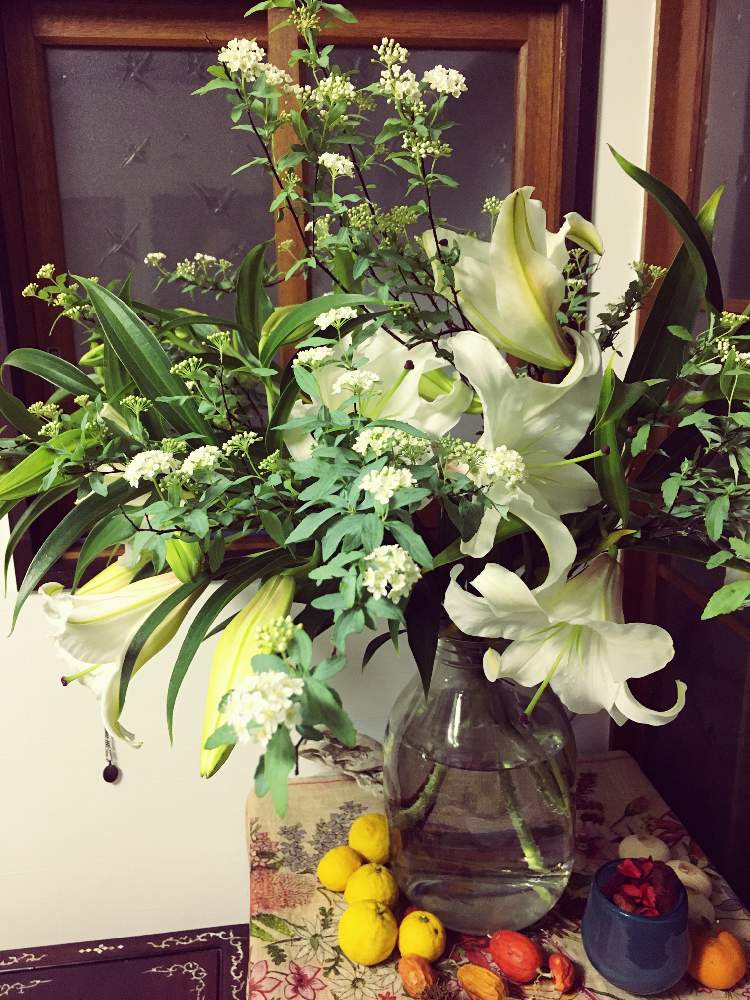 カサブランカの投稿画像 By ブルーさん 切り花 21月1月16日 Greensnap グリーンスナップ