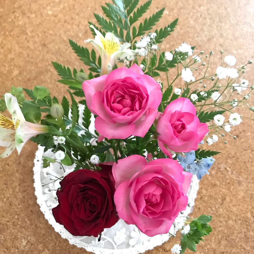 アリストロメリア の投稿画像 By むーさんままさん 薔薇 とカスミ草 とお花のある暮らしとほっとひと息とpetit Fleur とガラスの器とデルフィニウム とブプレウルム とレザーファン と赤い花とピンクの花と白いお花と切り花を楽しむ 21月1月17日 Greensnap