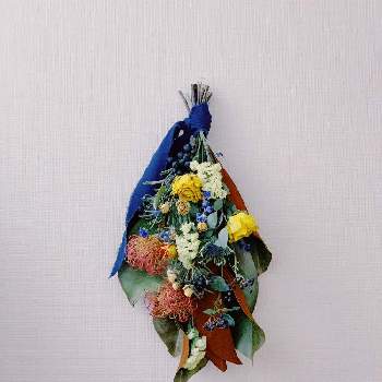 ふかこーりょくの投稿画像一覧 Greensnap グリーンスナップ