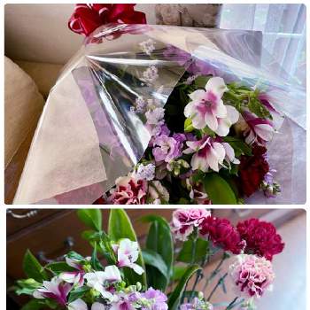 記念日の花束の画像 by MJSさん | 部屋と記念日の花束とアレンジメント前のお花